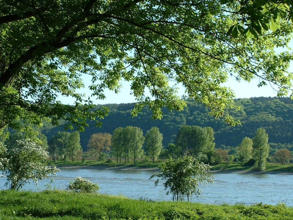 Zur Rheinschanz Bad Honningen Exterior foto